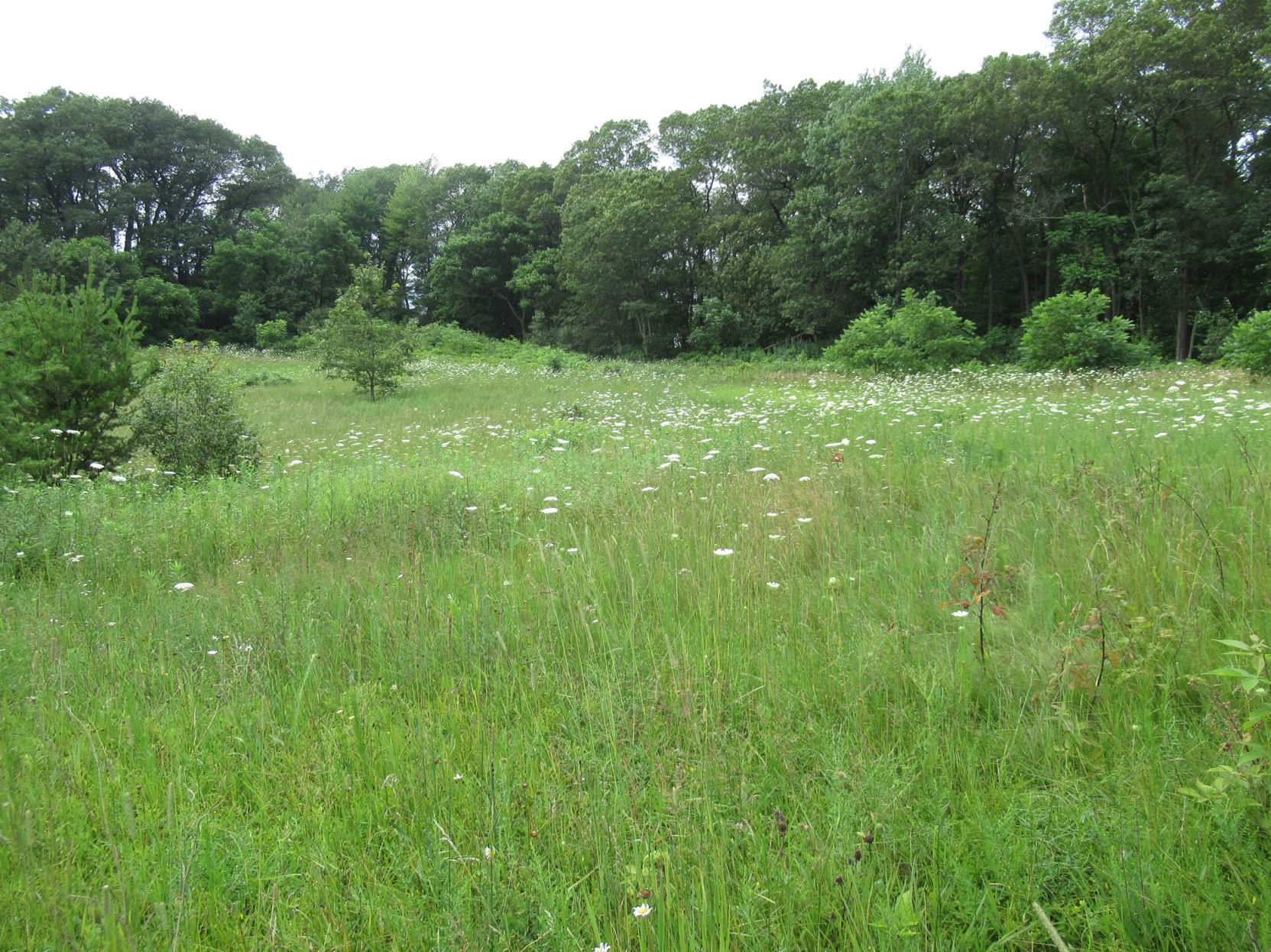 Prairie